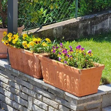 Casa Intignano - Con Terrazzo Vista Lägenhet *